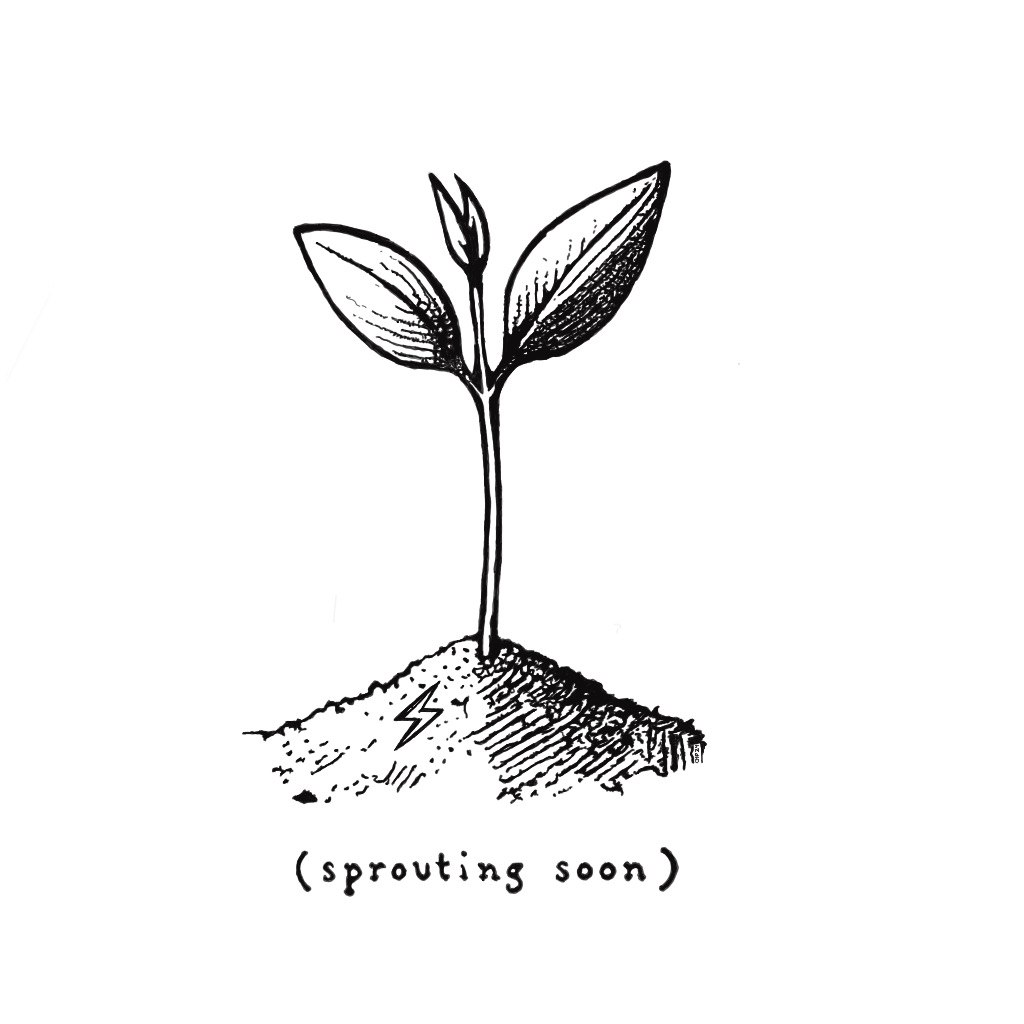 inscription 04365afc304ba5ed3374a15933785fa06830996af3e59585dfd83cd2793df98ai524