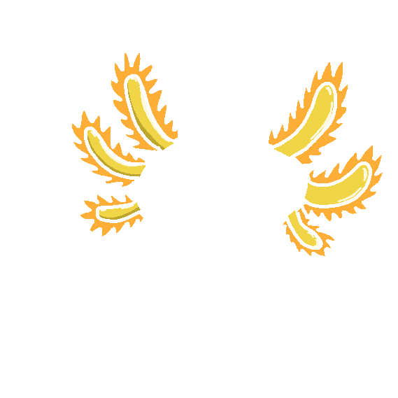 inscription 2eb5576c1396eeb7776b01ac7d68a4a394e0cf3b5f4cfd409bd5dd2b6dd82071i0