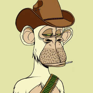 inscription 3da0e63ad53ba1a6c622a12e511d628d7ef4ac13fcf2839210ff525fea9a8adei0