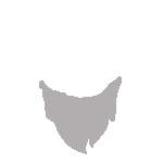 inscription 499ce616c7644f8218c4bc401d377a52b9db07e52ecbea845fd4e3a9d054e484i77