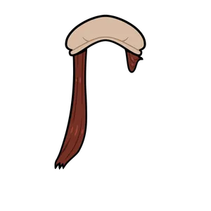 inscription 6d13d0f717a7b26a9c48516f333f7cddf7f11efba70ba5ecb32412cbc6627a39i8