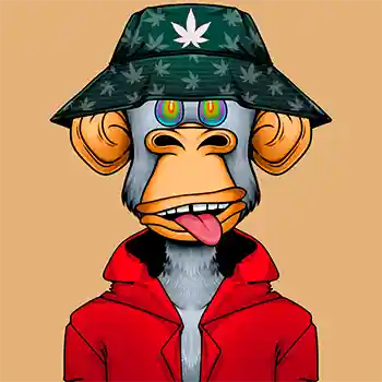 inscription 6dad282f268bbf2db226c19ca72a459872be4670270cf97abe5ab235e9de6945i0