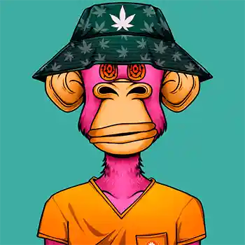 inscription 8bf7189a5a021d23478d8a2d7da92cb040480aa28f425f3a2ecb624cb688ce91i0