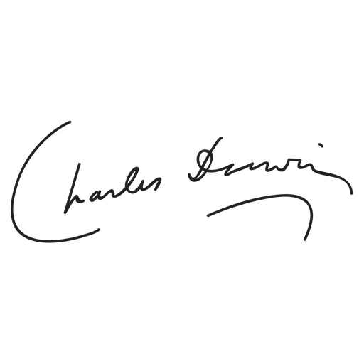 inscription 9c5111383c177243b5da3593465e866820eb3f8097077327a7cdfd7bd97eb48ei0