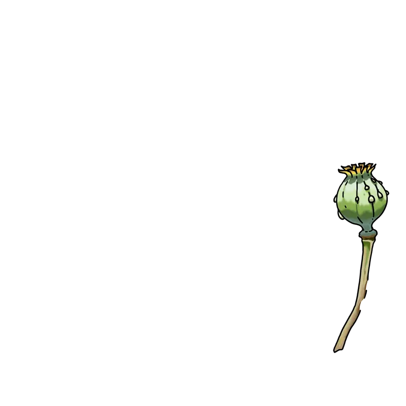 inscription a1141897331827aaa5568b4aa2f7a23bf3cdb2249fc1214f6e1d15c2ee3fdf1ei3