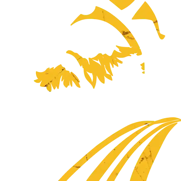 inscription e5439aaf1b36371487ba2a5238f3fb7d655fd39c4356bbdc0f41a5d5e499e567i7