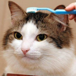 inscription f0dff20cca143e136dbeb48e54978c4a7b01311c0fa8461d00952fa2ffd29cb0i0